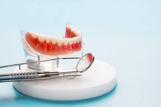 Best Preventive Dentistry  in Collings Lakes, NJ